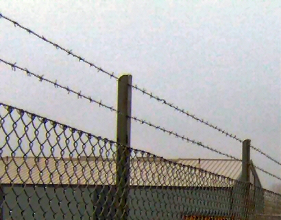 Pigtrådshegn: Fra højden 180 cm og opefter kan hegnet suppleres med pigtråd efter behov, her vist et eksempel på 2 rækker pigtråd lodret-op, på forlængelse af hegnsstolper. 